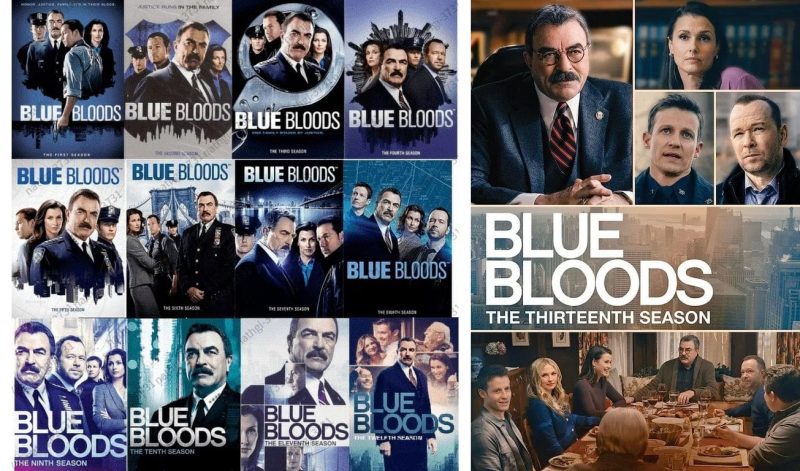 blue bloods dvd series seasons 1 13 set dvds blu ray discs dvds 032429229052 35837038821547